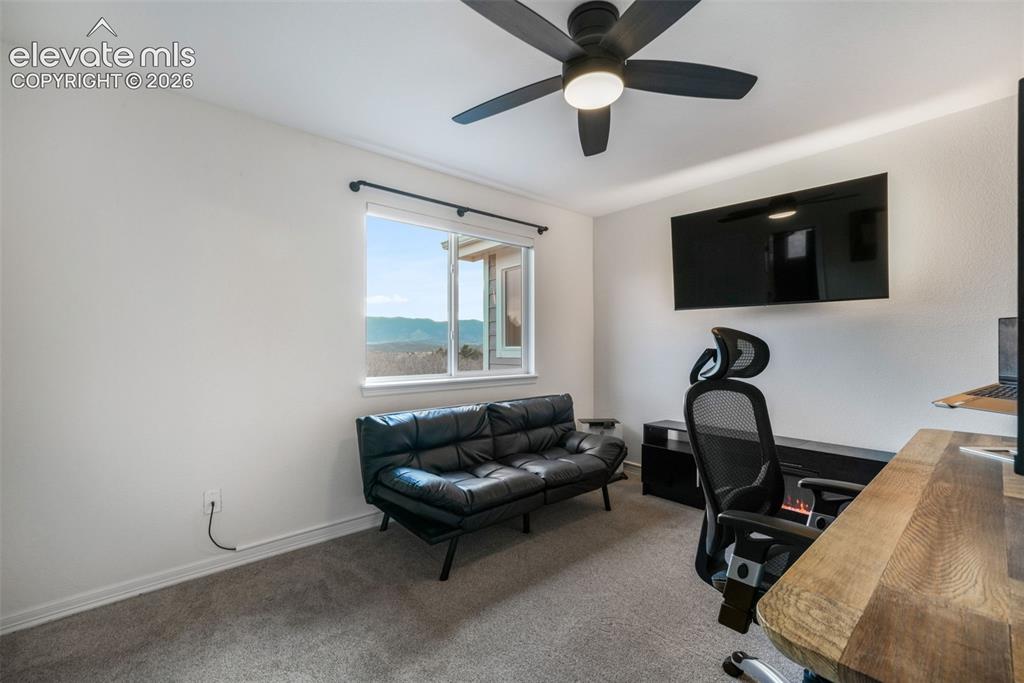 556 Coyote Willow Drive