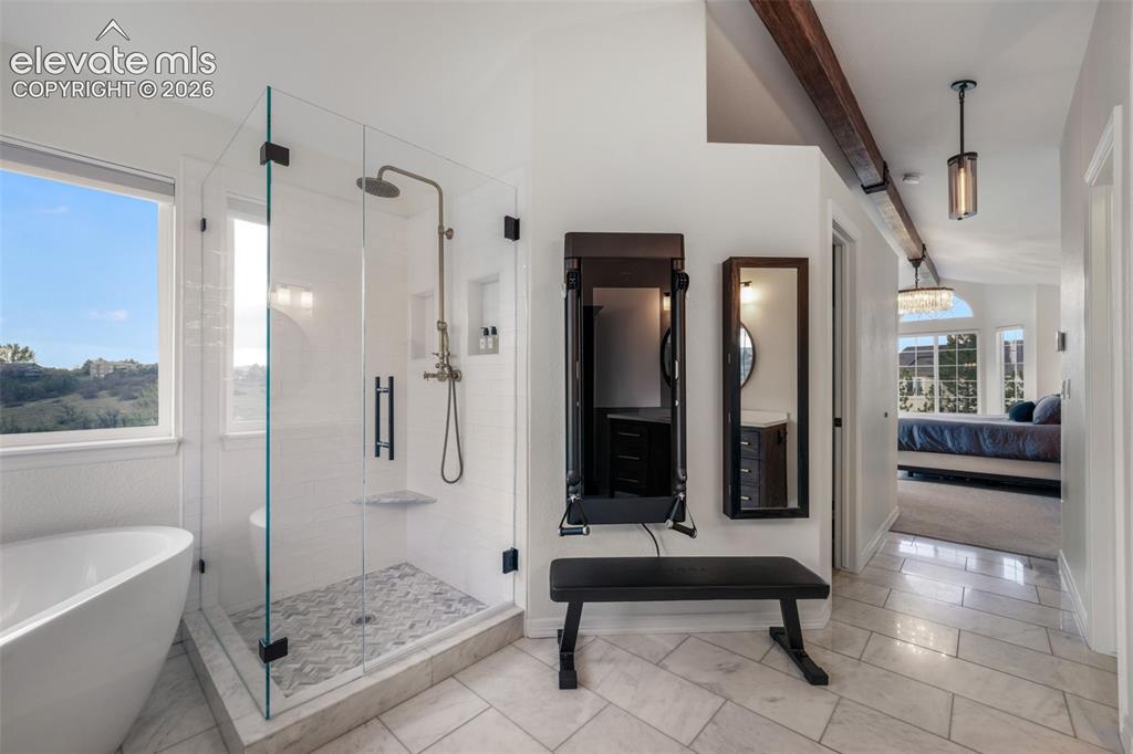 556 Coyote Willow Drive