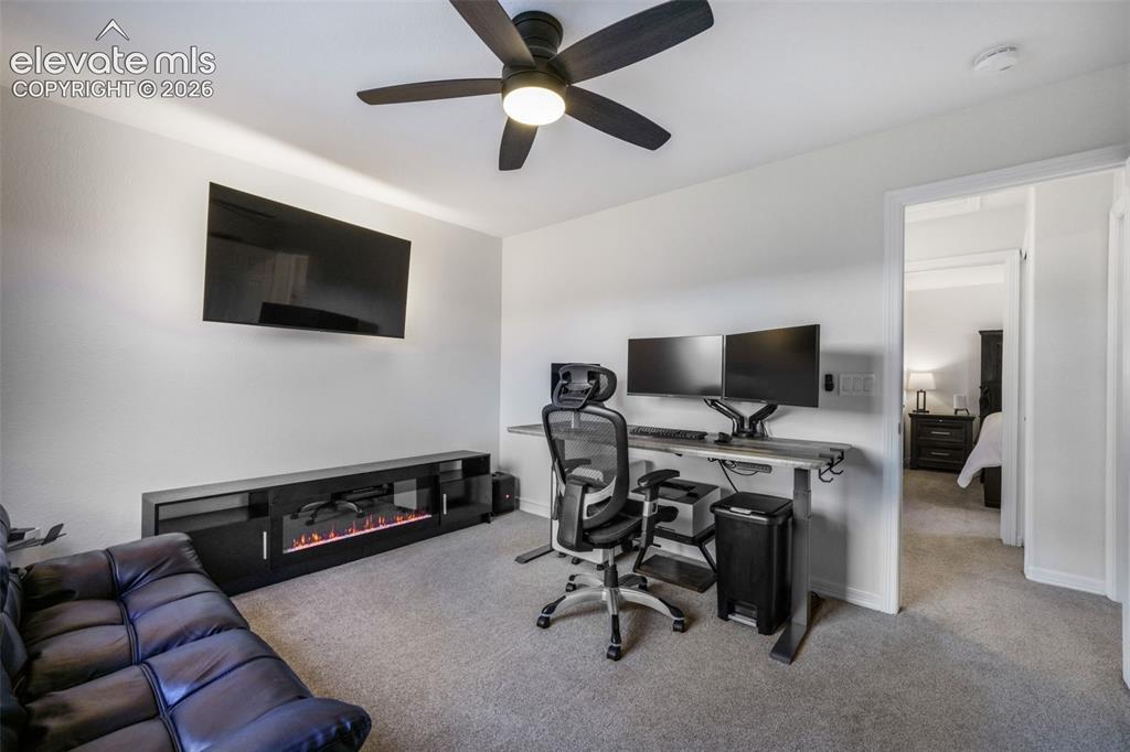 556 Coyote Willow Drive