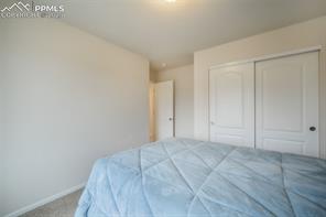 823 Spectrum Loop