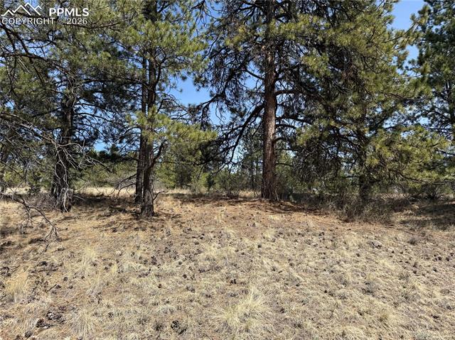 99 Cheyenne Way