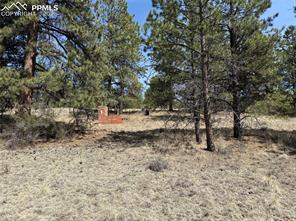 99 Cheyenne Way
