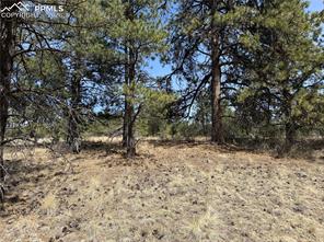 99 Cheyenne Way