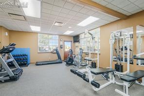 4163 Gray Fox Heights