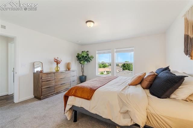 4163 Gray Fox Heights