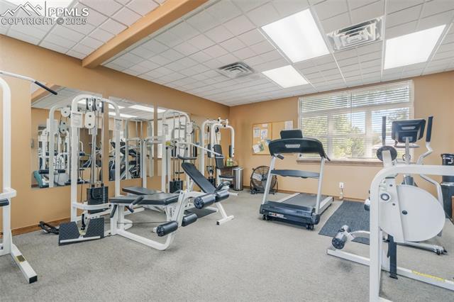 4163 Gray Fox Heights