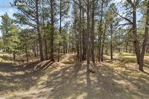 11165 Pine Meadows Road