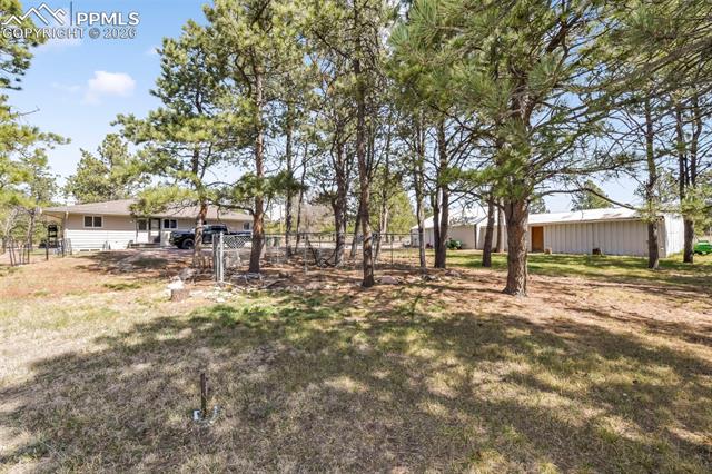 11165 Pine Meadows Road