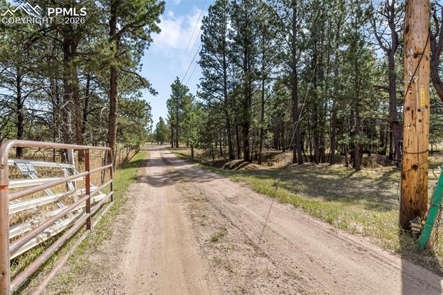 11165 Pine Meadows Road