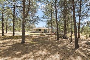 11165 Pine Meadows Road