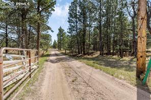 11165 Pine Meadows Road