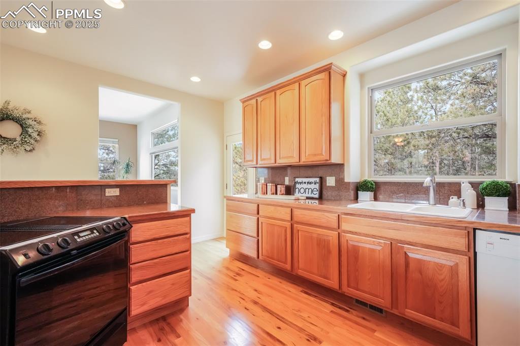 1132 Longspur Lane