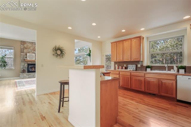 1132 Longspur Lane