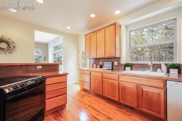 1132 Longspur Lane