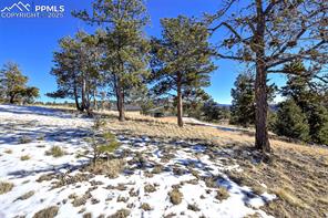 28 E Nevada Circle