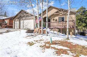 1116 Ptarmigan Drive