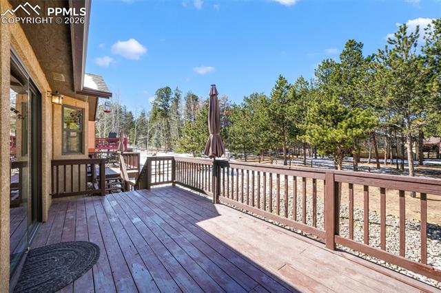 1116 Ptarmigan Drive