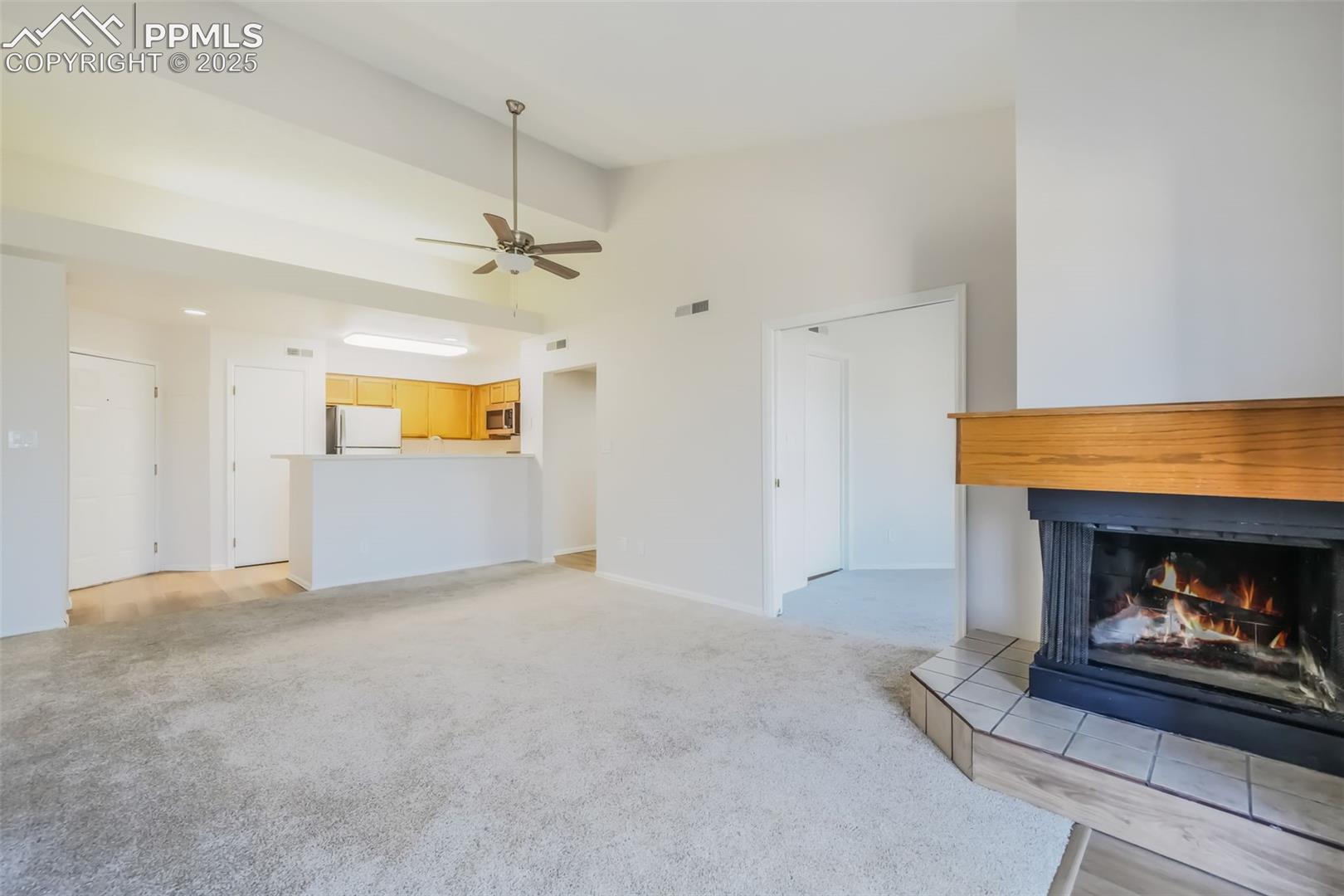 3664 Iguana Drive