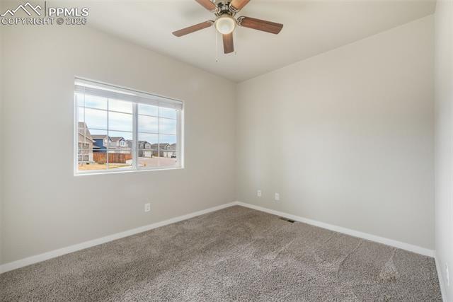 7296 Alpine Daisy Drive