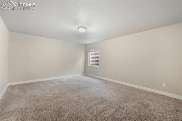 7296 Alpine Daisy Drive