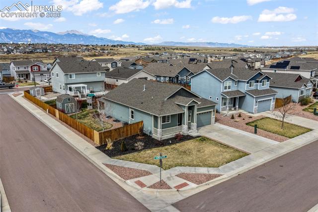 7296 Alpine Daisy Drive