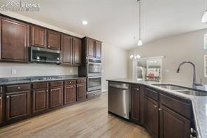 7296 Alpine Daisy Drive