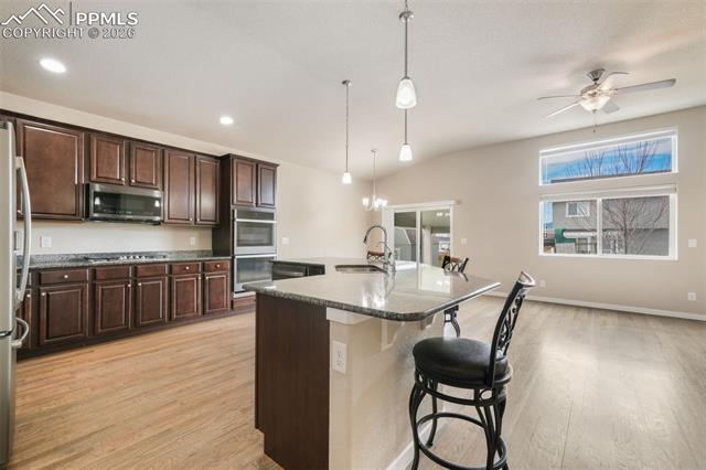 7296 Alpine Daisy Drive