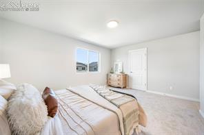 5169 Palomino Ranch Point