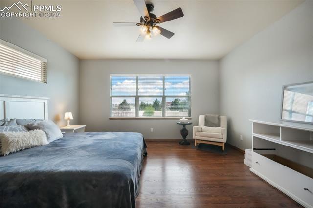 4197 Purple Plum Way