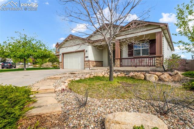 4197 Purple Plum Way