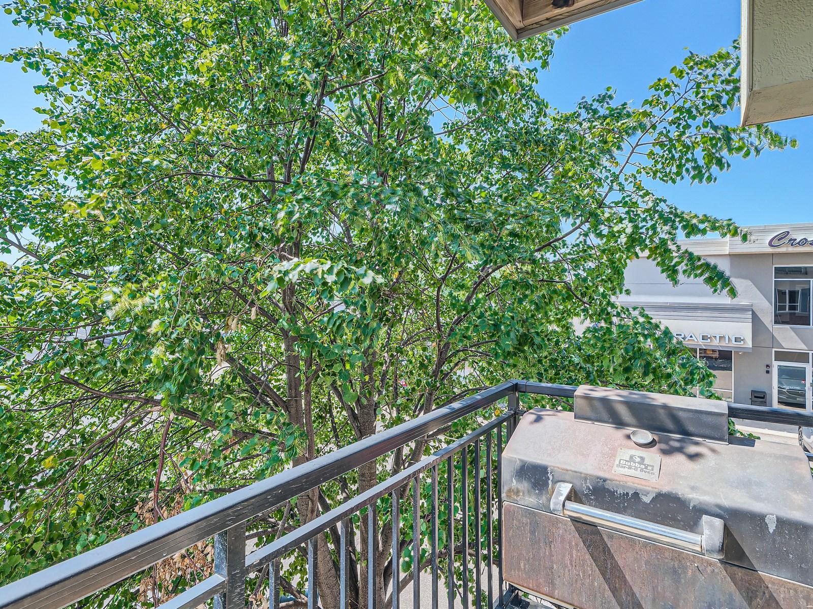 1502 5th Street N Unit: 212