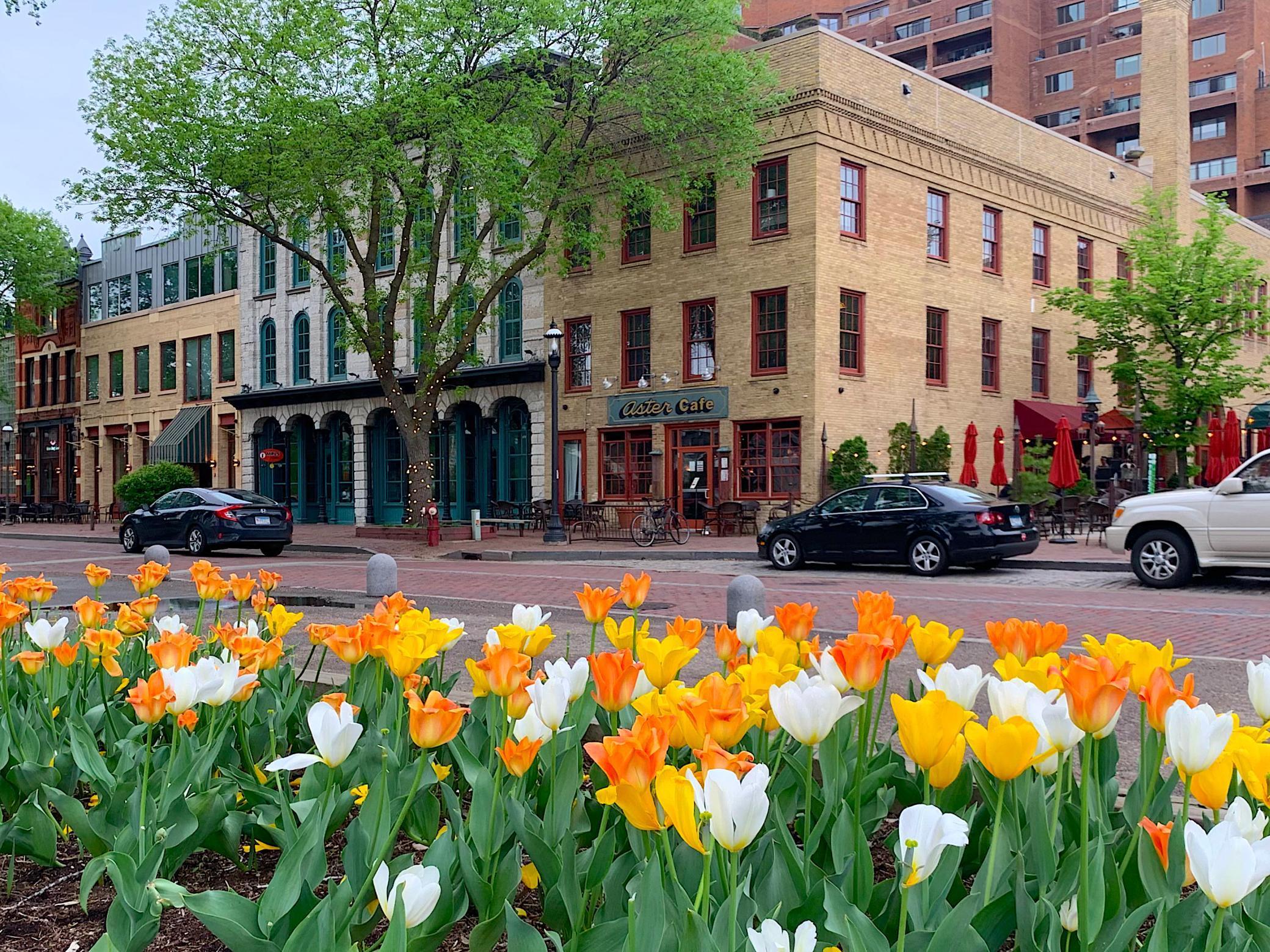 150 2nd Street NE Unit: B513