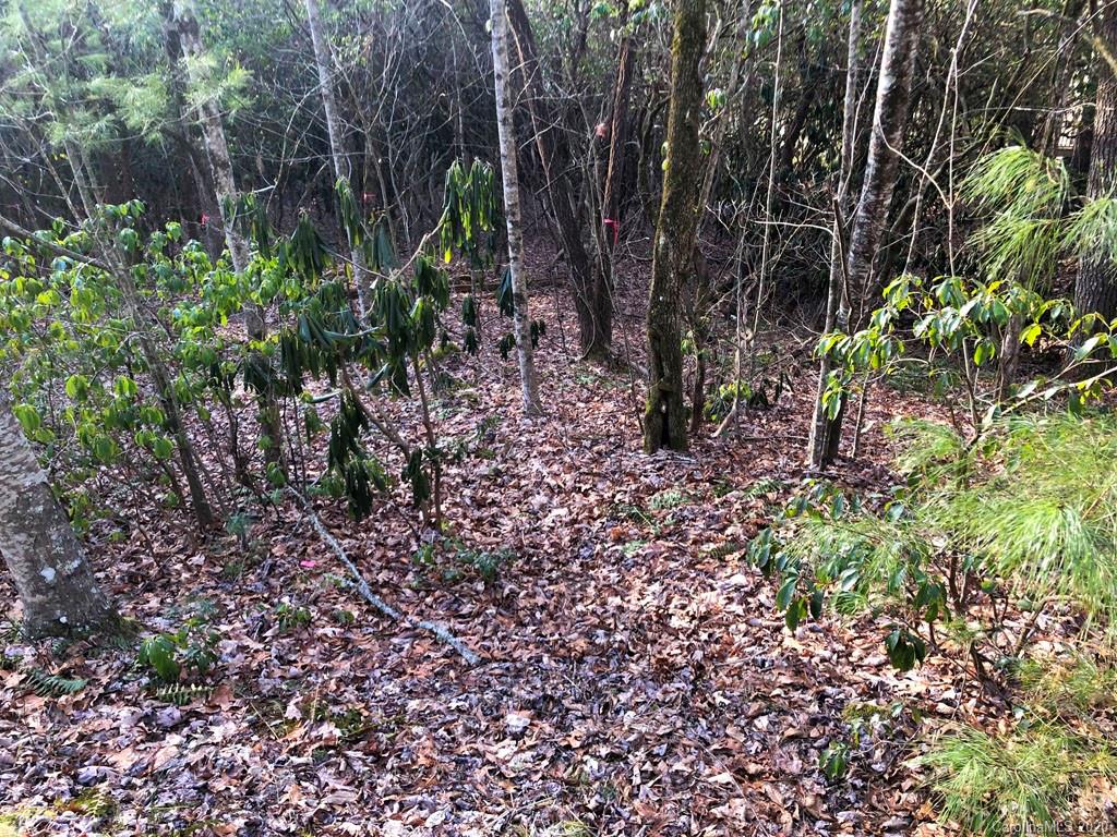 153 Chattooga Run Unit: 228