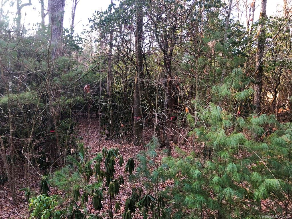 153 Chattooga Run Unit: 228