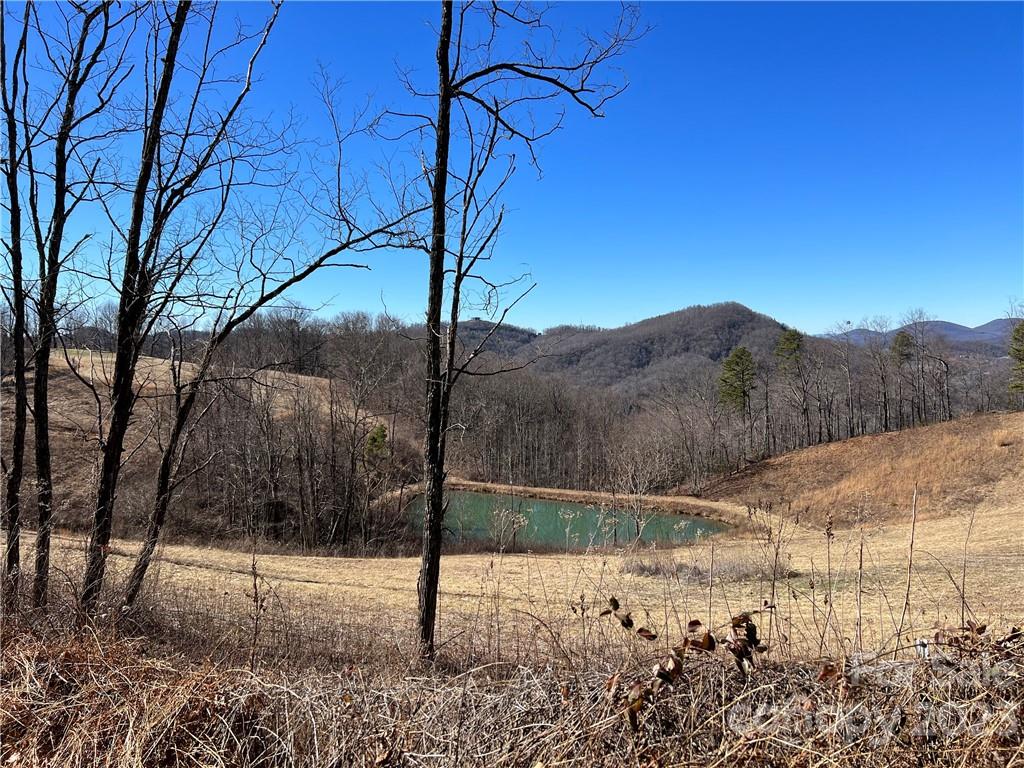 LOT 9 Firemender Valley Trail
