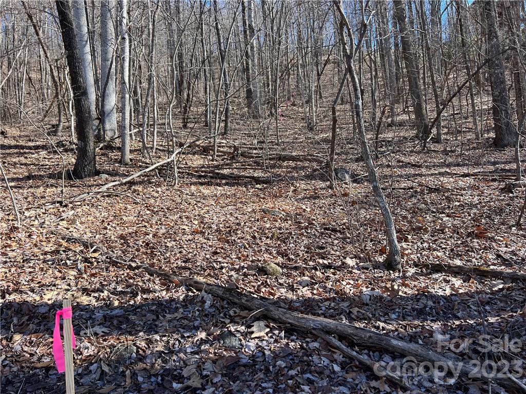 LOT 9 Firemender Valley Trail