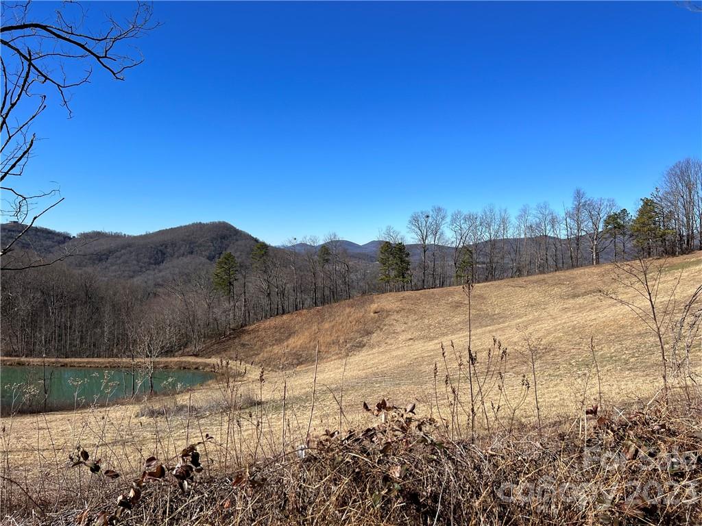 LOT 9 Firemender Valley Trail