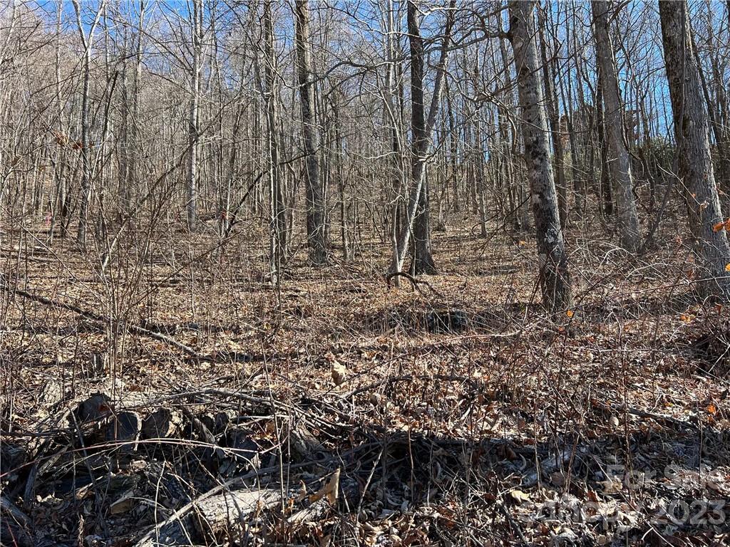 LOT 9 Firemender Valley Trail