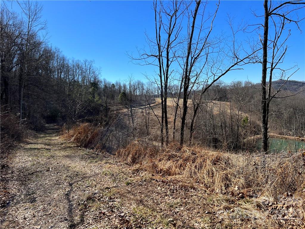 LOT 9 Firemender Valley Trail