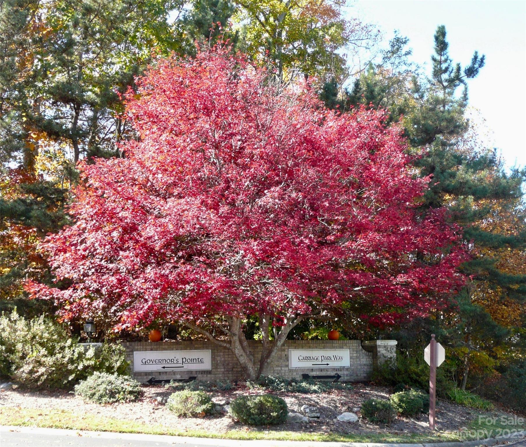 209 Tallyho Lane