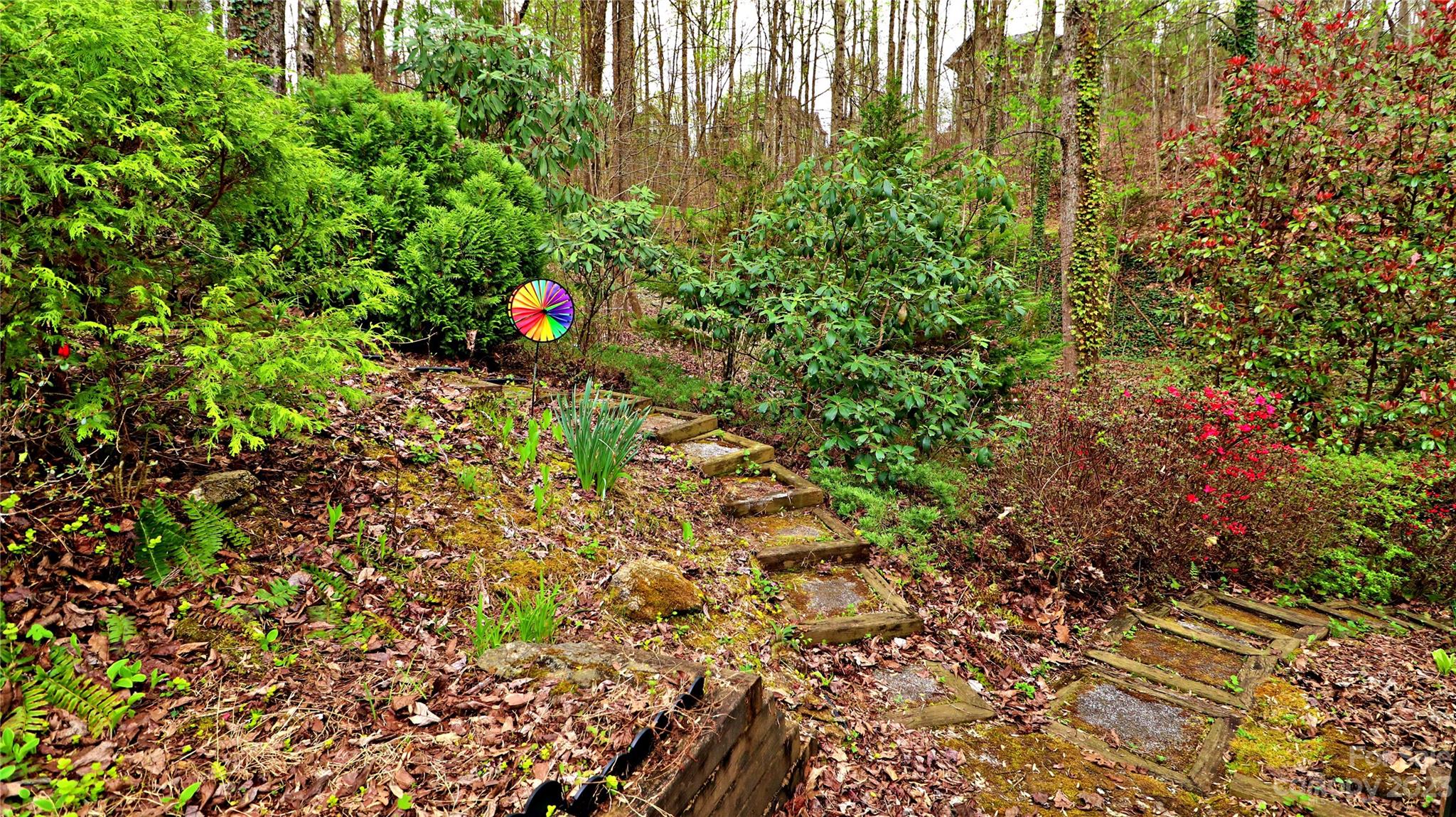 209 Tallyho Lane
