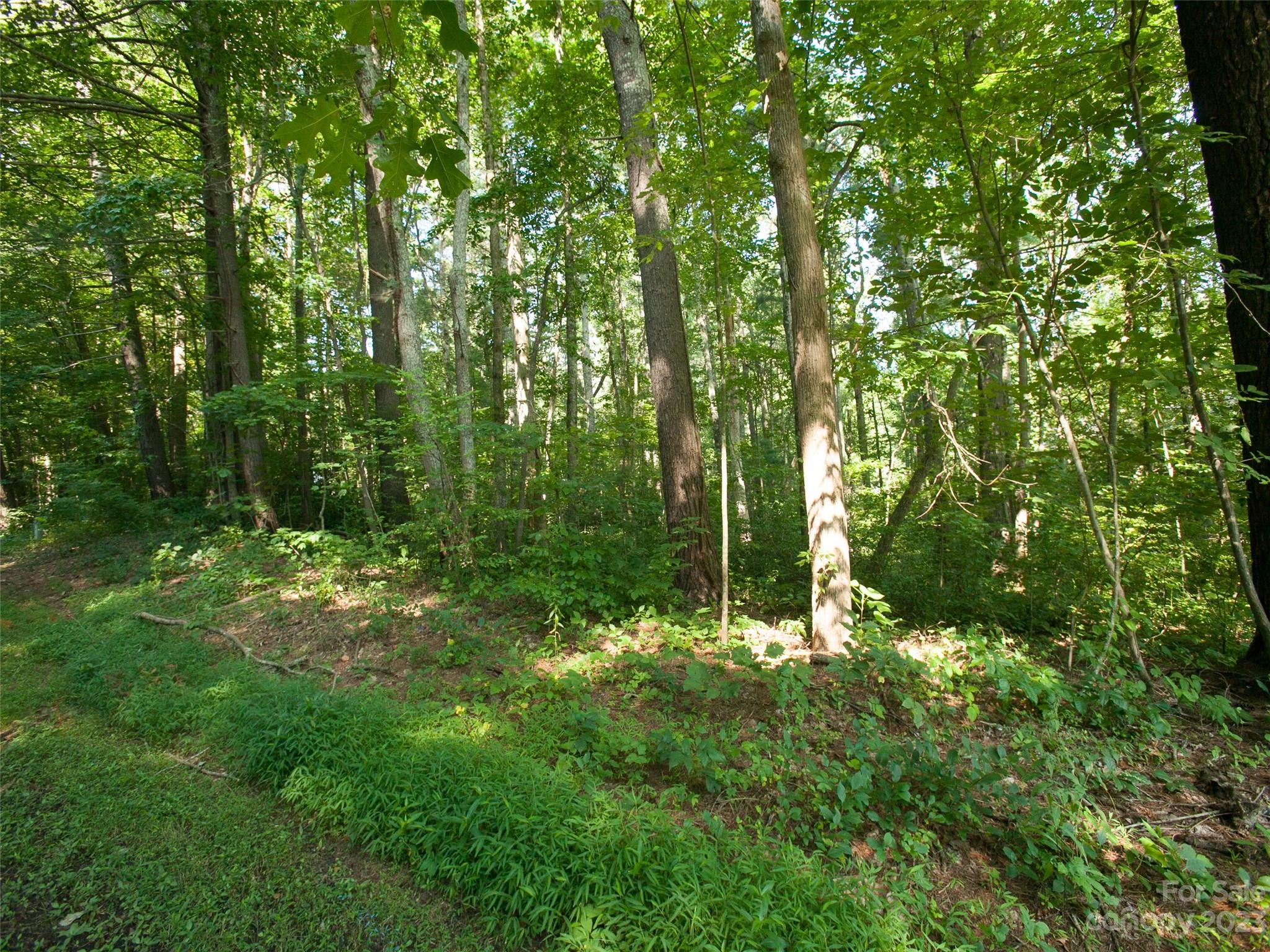 000 Weston Road