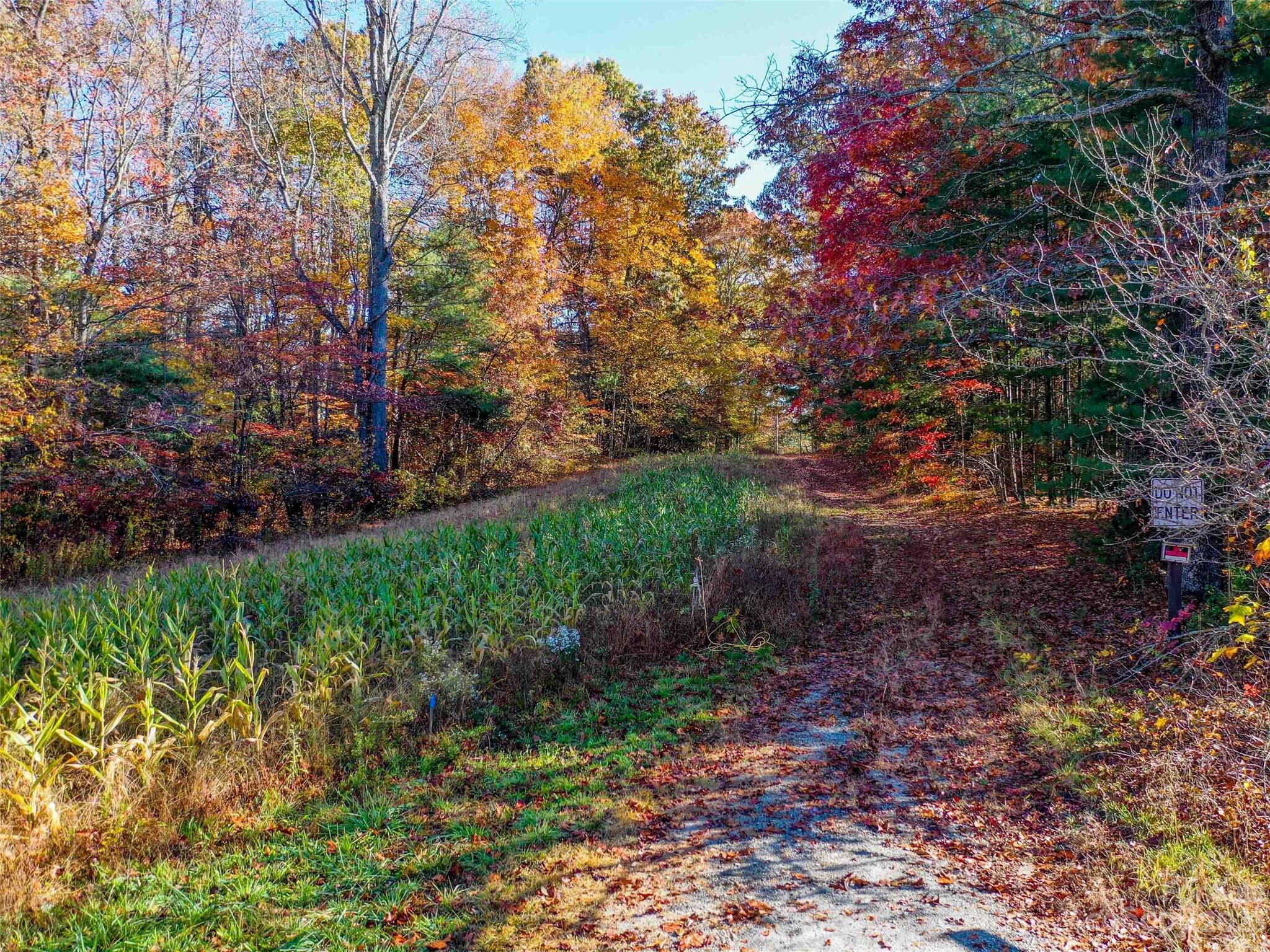 0000 Comet View Lane