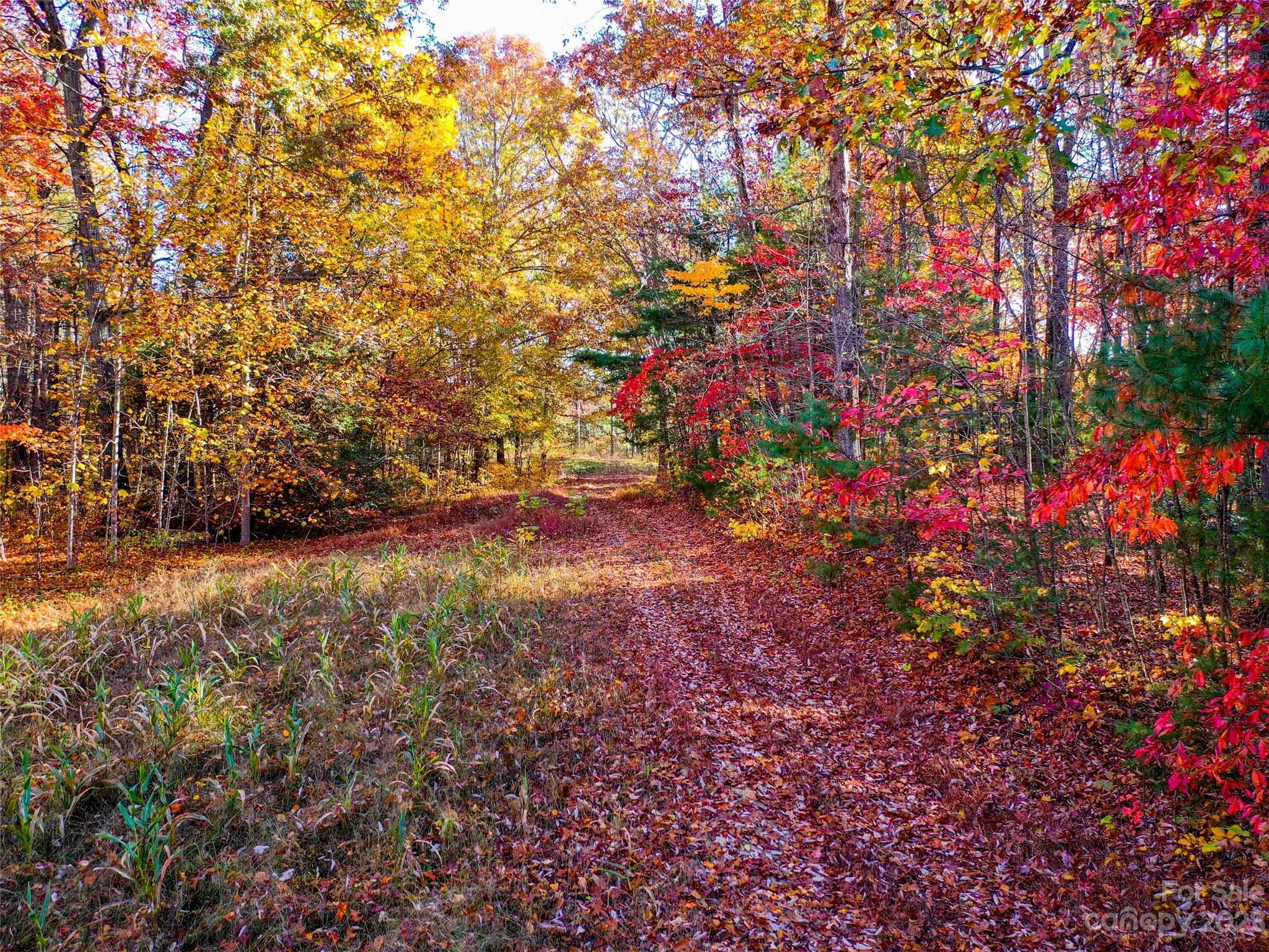 0000 Comet View Lane