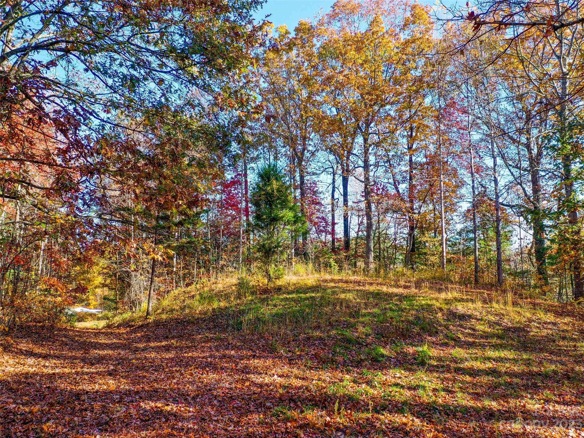 0000 Comet View Lane