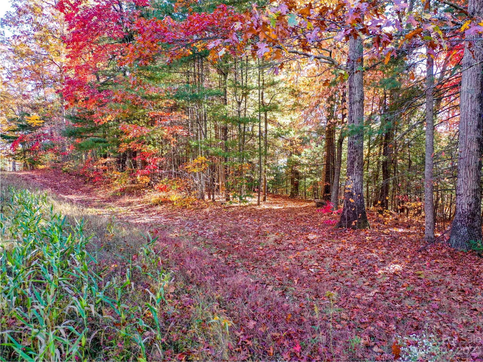 0000 Comet View Lane