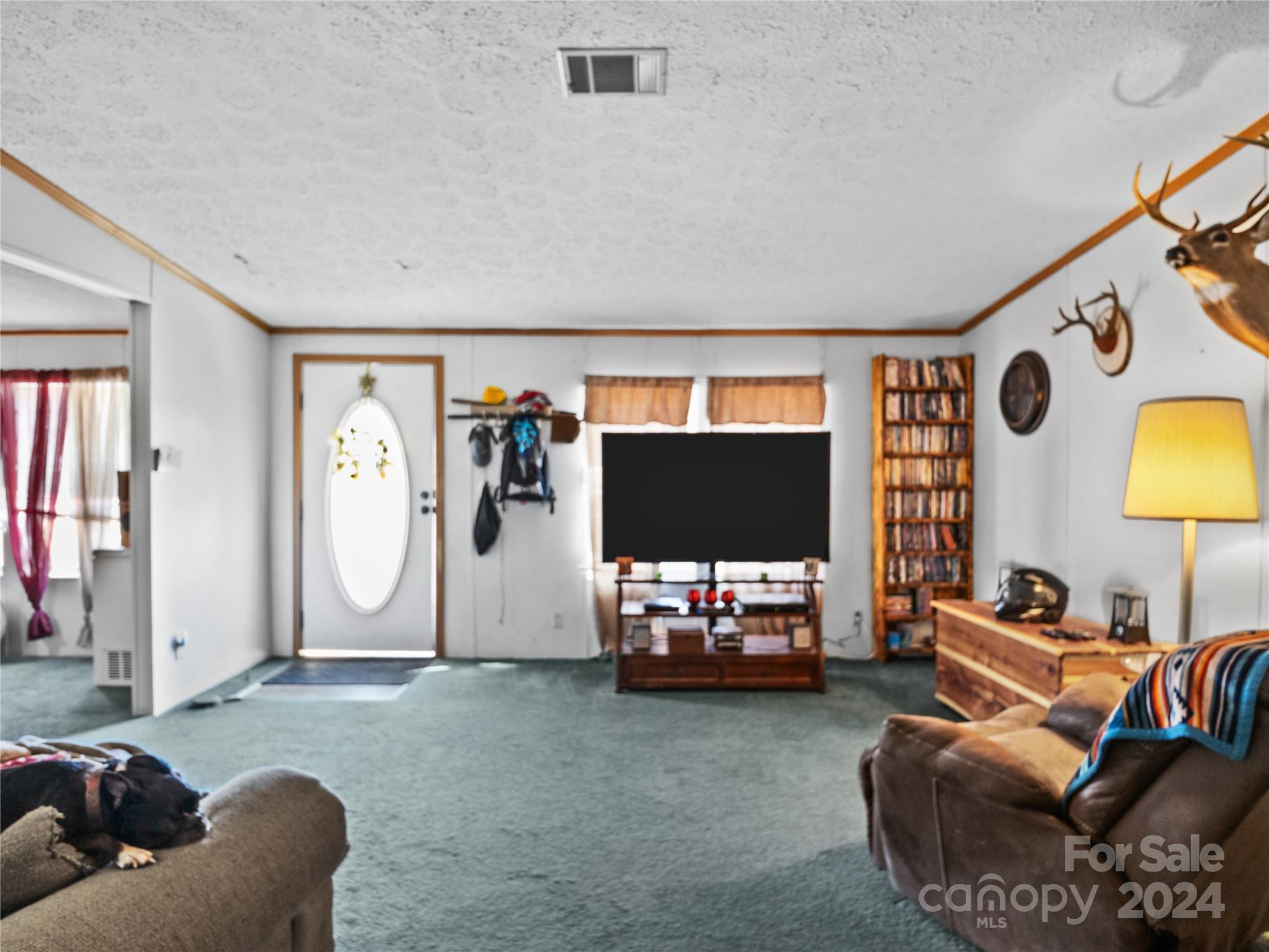 276 Andy Drive