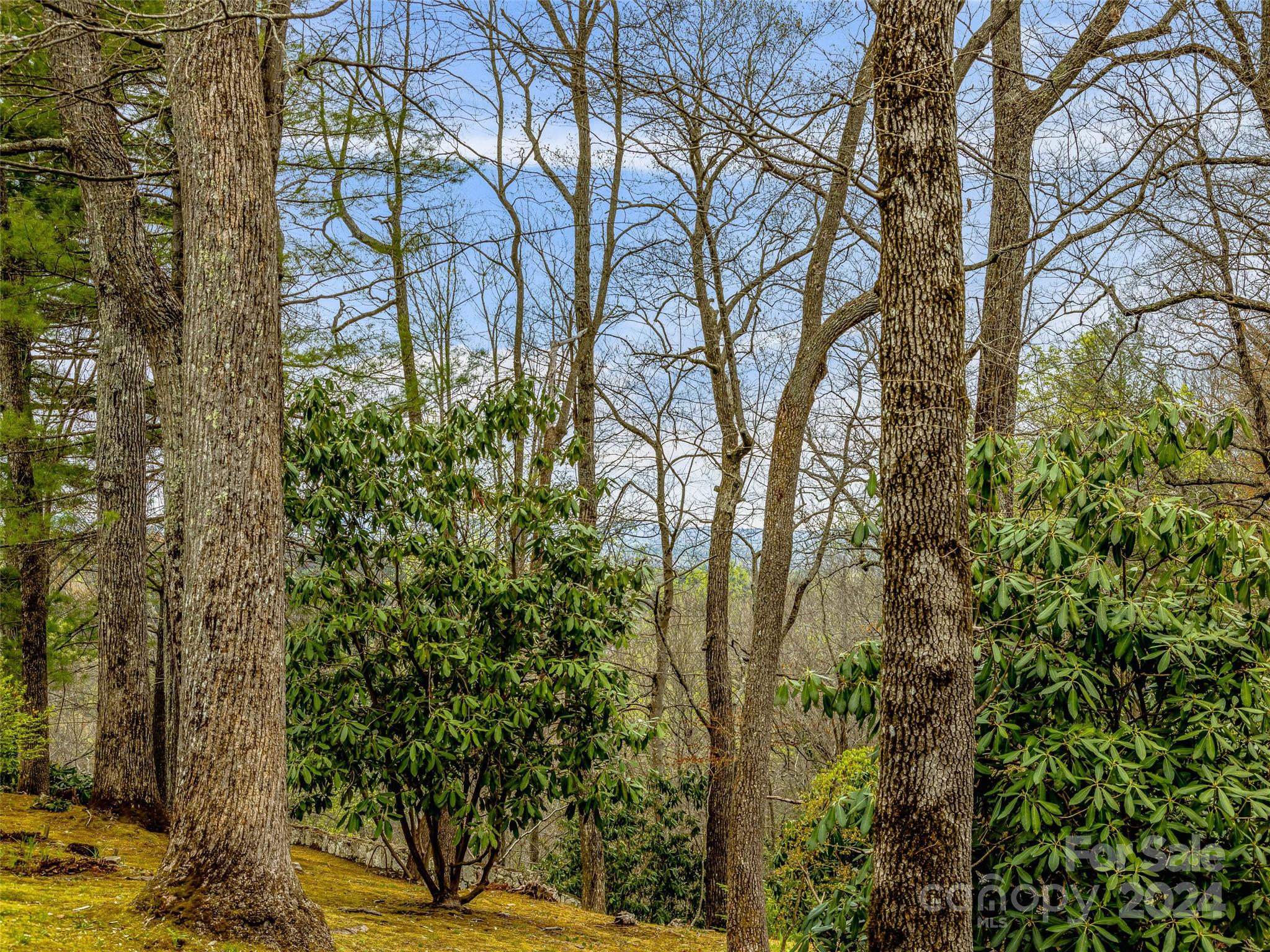 500 Davis Mountain Road