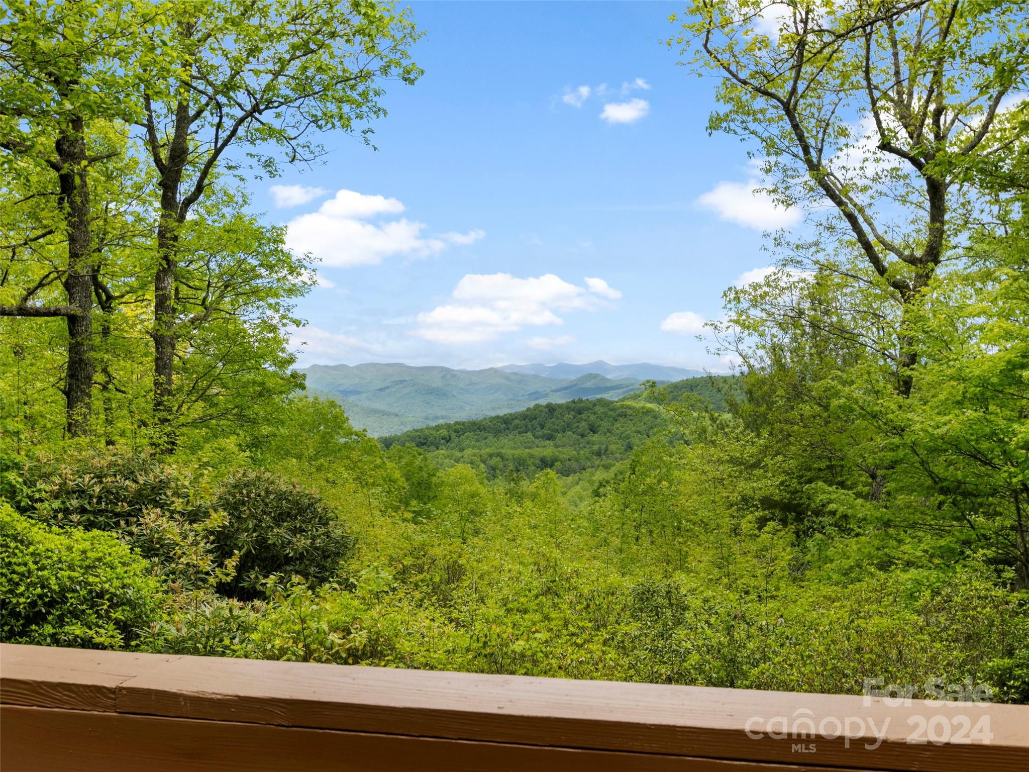 559 Roaring Rock Road