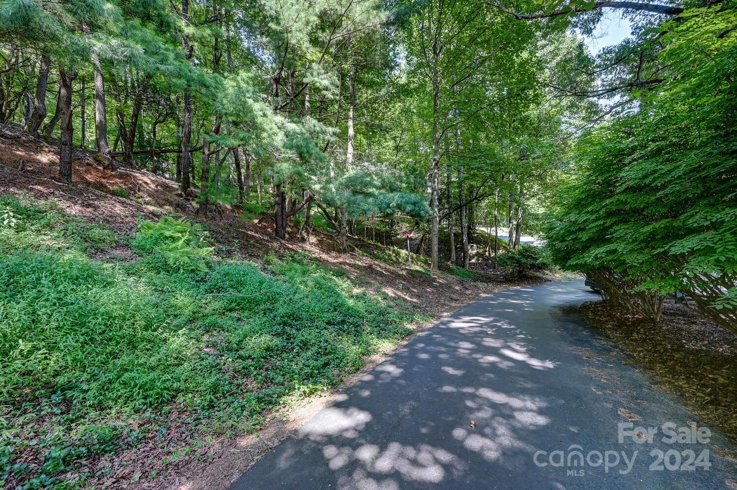 4 Poplar Drive